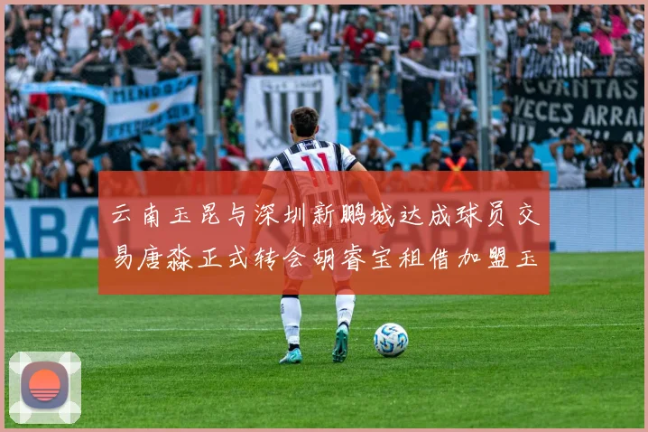 云南玉昆与深圳新鹏城达成球员交易唐淼正式转会胡睿宝租借加盟玉昆