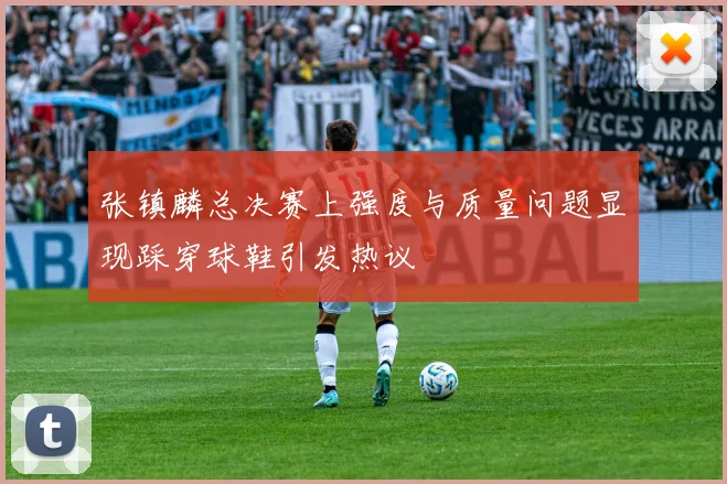 张镇麟总决赛上强度与质量问题显现踩穿球鞋引发热议